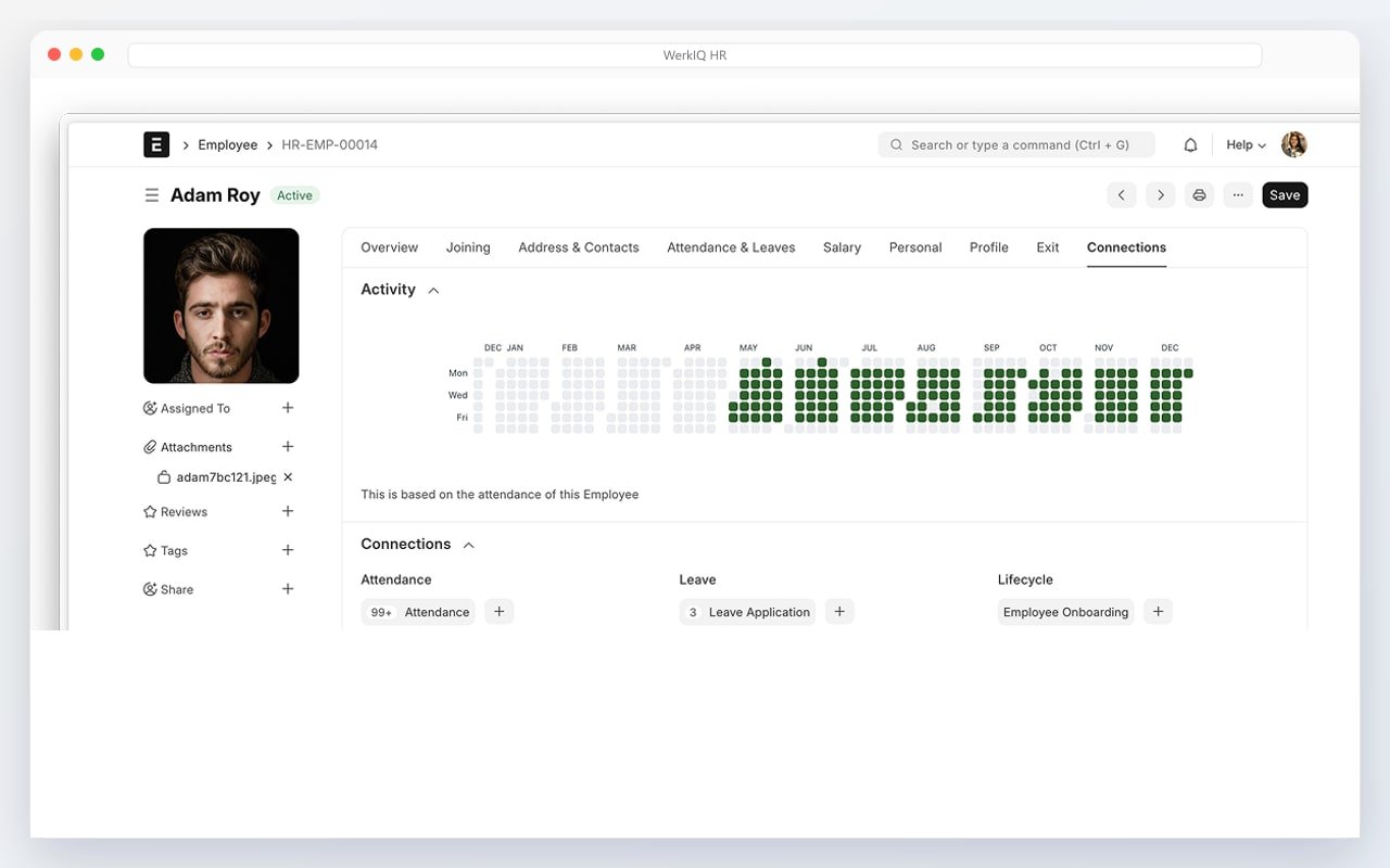 WerkIQ HR employee profile with attendance heatmap and connections